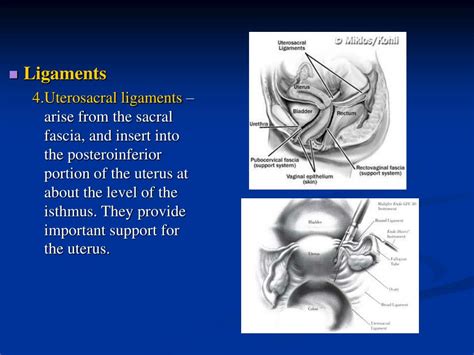 Ppt Reference Powerpoint Presentation Free Download Id 1396839