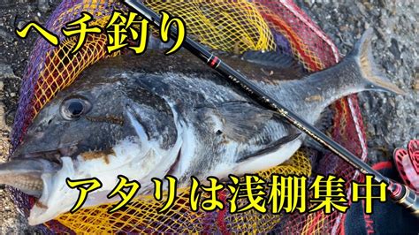 ヘチ釣りアタリは浅棚集中【チヌ釣り 黒鯛 落とし込み】 釣り動画