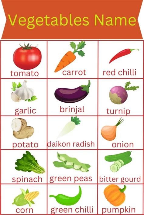 Learn Vegetables Name In Hindi And English With Pictures