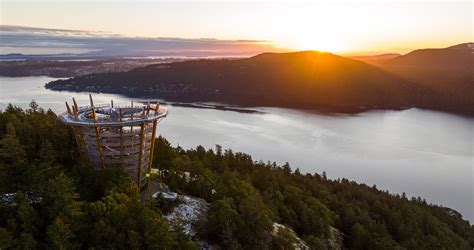 Top Things To Do In Victoria News Malahat SkyWalk