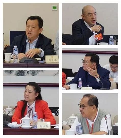 万立骏参加全国政协十三届二次会议侨联界委员讨论会习近平