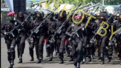 Foto Denjaka Dilibatkan Tumpas Kkb Teroris Papua Cek Faktanya