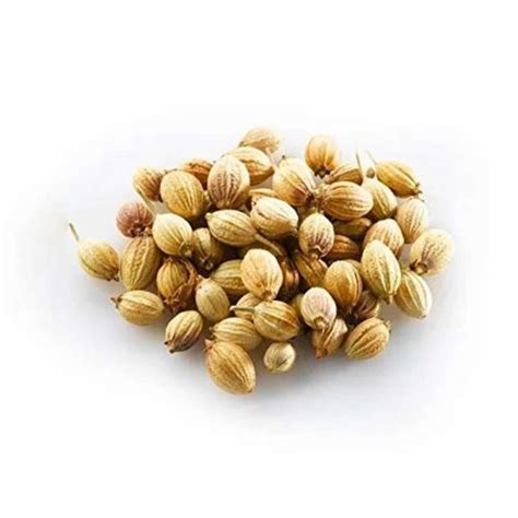 Natural Green Kg Coriander Seed Form Seeds At Rs Kg In Etawah