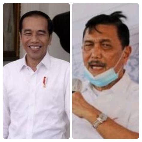 Isi Lhkpn Harta Jokowi Rp Miliar Harta Luhut Rp Triliun Pbsn