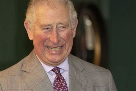 Les peurs du prince Charles concernant l avenir du bébé de Meghan