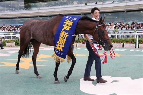 【神戸新聞杯】サトノグランツがレース初の父子3代制覇 菊花賞へ弾み サンスポzbat