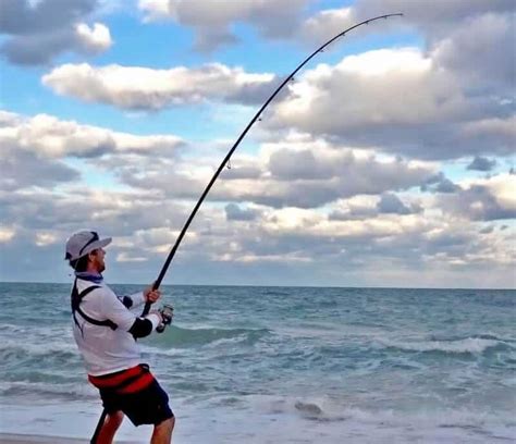 Varas De Pesca Conhe A Os Modelos A Es E Caracter Sticas