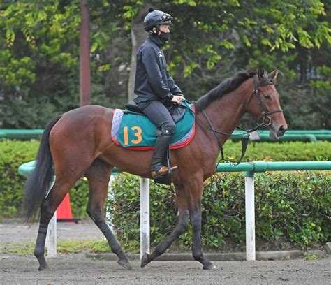 【pog】ウンブライル 早期活躍に定評の良血 陣営は初陣突破願う競馬・レースデイリースポーツ Online