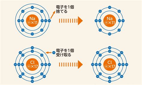 陽イオン・陰イオンって何のこと？ その仕組みや身近なイオンの例も紹介【親子でプチ科学】 Hugkum（はぐくむ）