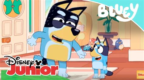 Bluey Episodio Completo El Fin De Semana Disney Junior Oficial