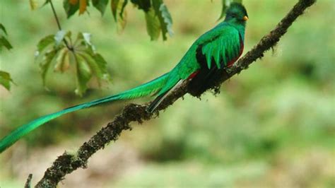 Nature in Guatemala - Enjoy Guatemala