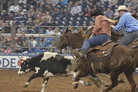 Houston Rodeo 2013 Houston Rodeo, Texans, Favorite Places, Action ...