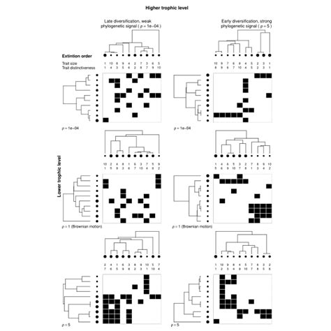 Examples Of Some Of The Possible Eco Evolutionary Dynamics Of Bipartite