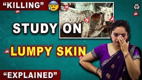 What Is Lumpy Skin Disease Explained देशी इलाज Youtube