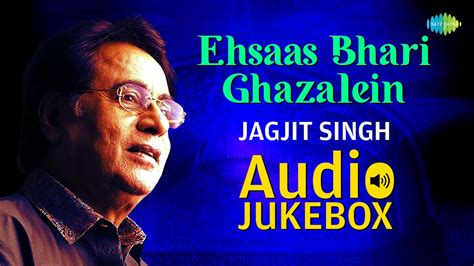 Ehsaas Bhari Ghazalein Jagjit Singh Ghazals Audio Jukebox Sad