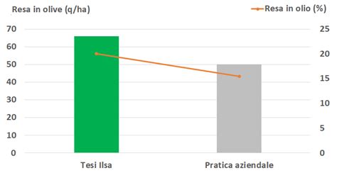 E Il Momento Di Biostimolare La Resa In Olio Dellolivo Cittadino