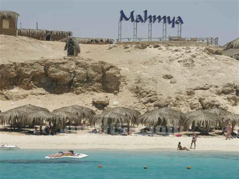 Snorkeling At Mahmya Island From Hurghada