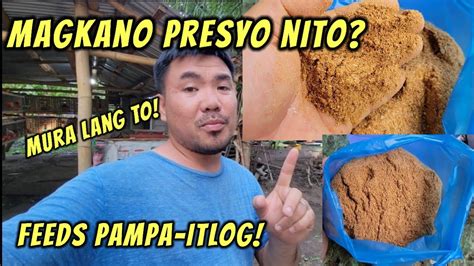 Magkano Ang Presyo Ng Cattle Concentrate Feeds YouTube