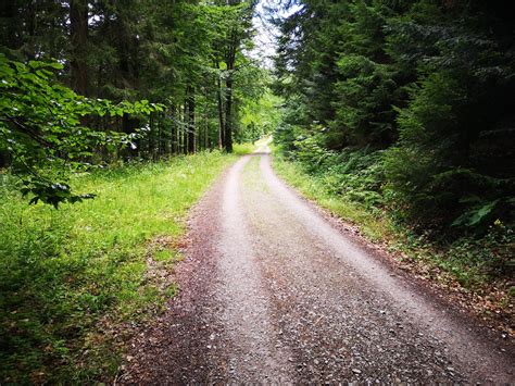 Sandwanderung Luchs Wildnispfad Sowie B Renfels Wanderung