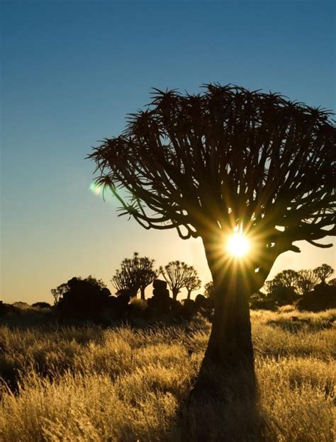 Unendliche Weite In Der Namib W Ste