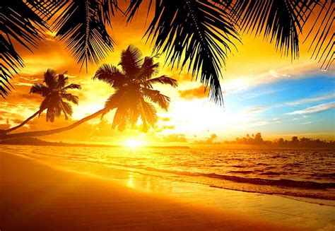 Tropical Sunset Glow Shore Shine Bonito Sunset Sea Palm Trees