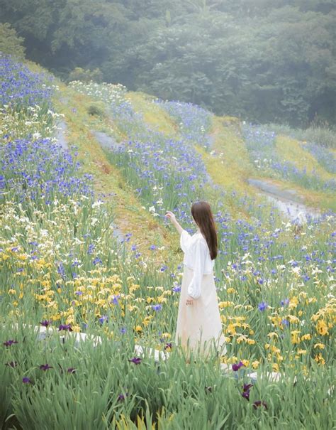 全台唯一「百年梯田」鳶尾花盛開！免費美拍還能支持小農作物 旅遊 聯合新聞網