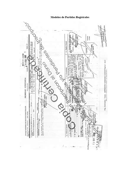 Modelos De Partidas Registrales Pdf
