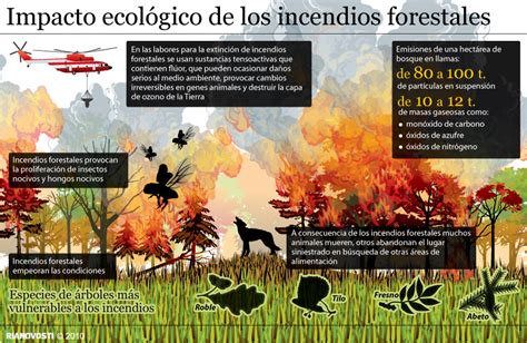 Infografía Incendios forestales