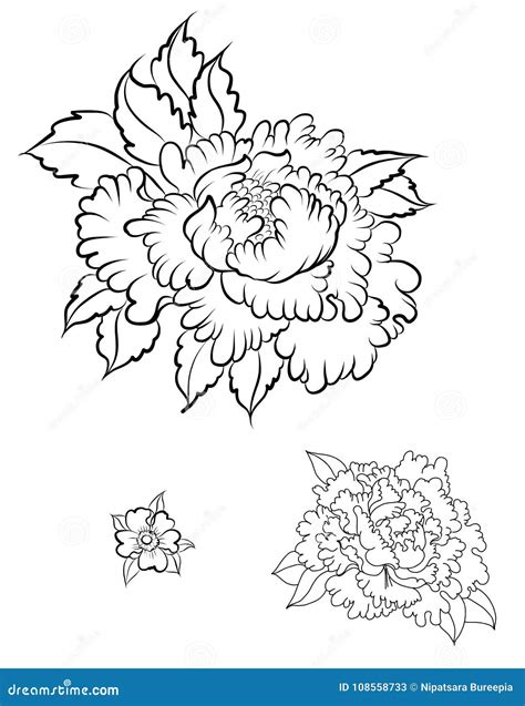 Hand Drawn Peony Flower Chinese Flower Vector Tattoo Doodle Art Peony