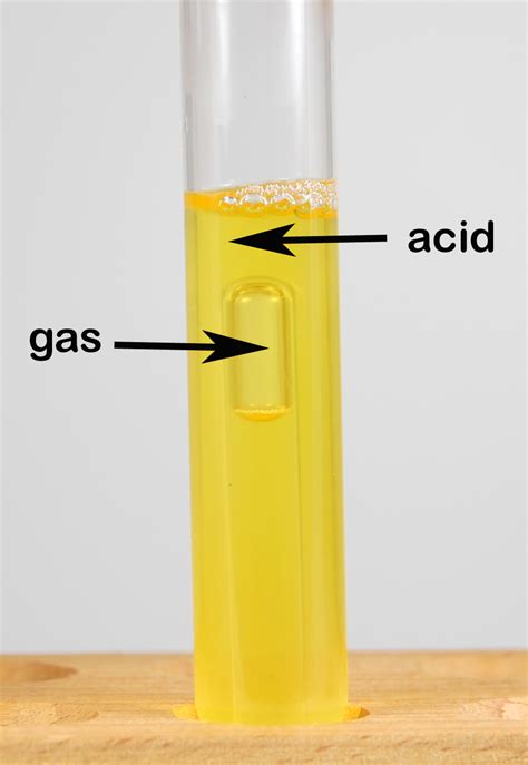 Biol Lab Manual Lab