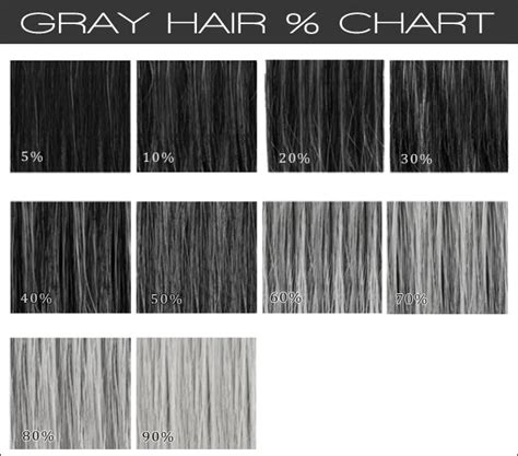 Grey Hair Colour Chart Hair Color Chart Silver Hair Color Image