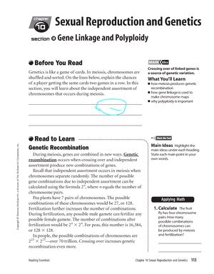 Alexzander Santiago Study Guide Cellular Structure And Function