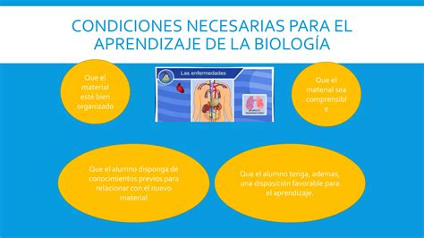 El Curriculo De Biologia En El Bachillerato Ppt