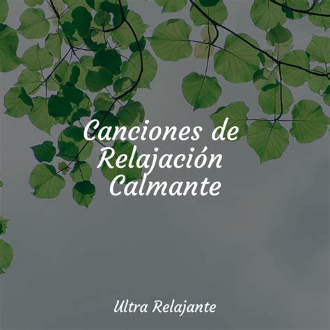 Canciones De Relajaci N Calmante Album By Dormir E Meditar Spotify