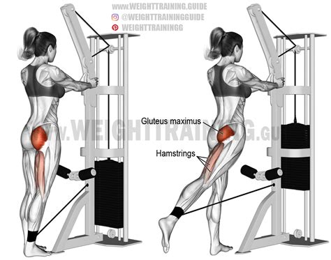 Glute Kickback Machine Form Hyman Dugan