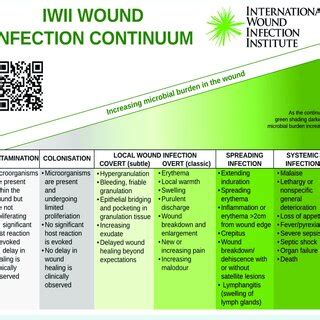 Pdf Iwii Wound Infection In Clinical Practice Consensus Document