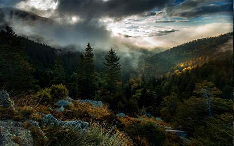 nature landscape forest mountain sunrise trees mist clouds sky fall ...