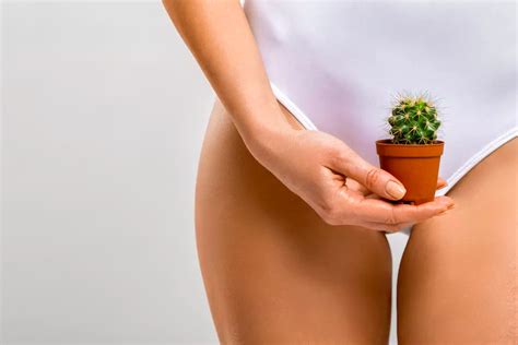 Dọn cỏ đâu nhất thiết phải một màu vì có nhiều kiểu tạo hình vùng bikini