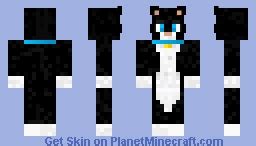 Black and White Cat Minecraft Skin