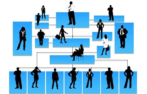 ESTRUCTURA ORGANIZATIVA Mind Map