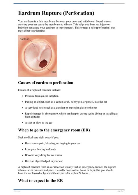 Ruptured Eardrum Tympanic Membrane Perforations, 46% OFF