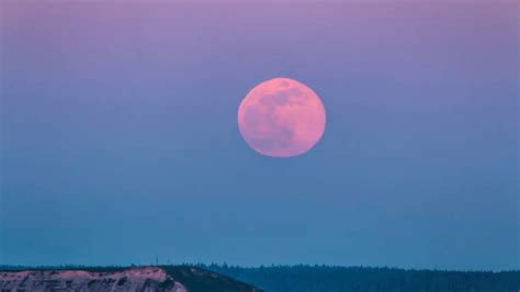 Luna Rosa De Abril Te Contamos Todo Lo Que Tenes Que Saber Sobre La