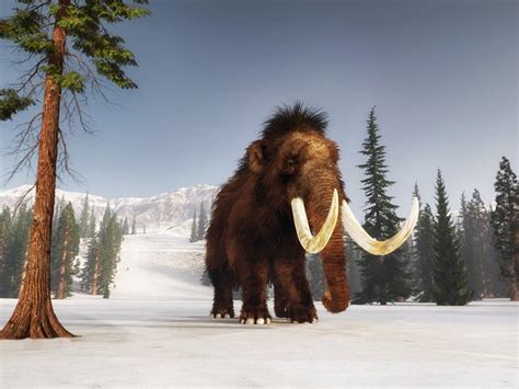 Mission Bring Back The Woolly Mammoth Lab Grown Animal From The Ice