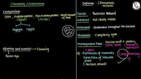 SOLUTION Cell The Unit Of Life 10 Classnotes Yakeen Neet 2024 Studypool