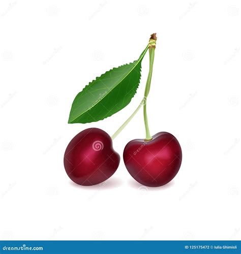 Cherry Realistic 3d Vector Illustration Ripe Red Cherry Berries Stock