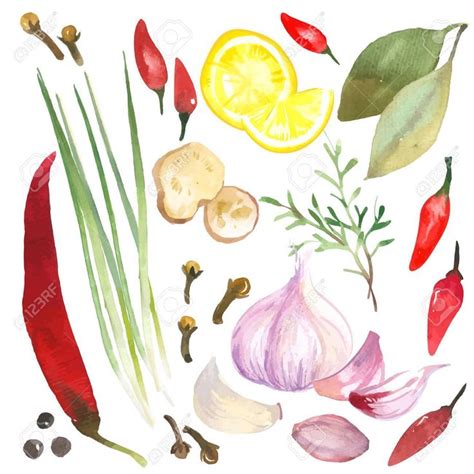 Watercolor Set Of Herbs And Spices Drawn By Hand On A White Background