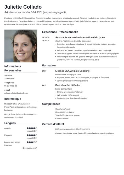 Exemple De Cv Pour Candidature En Master