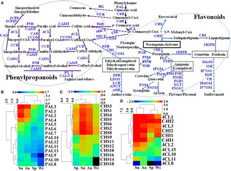 Frontiers Seasonal Variation In Transcriptomic Profiling Of