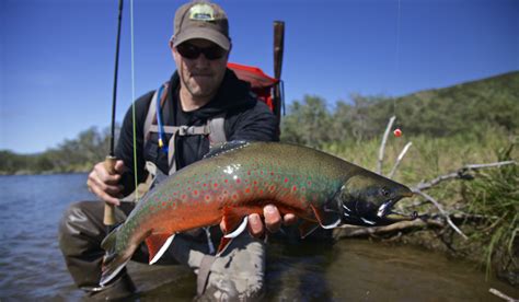 Blog By Alaska Fishing Lodge Anglers Alibi