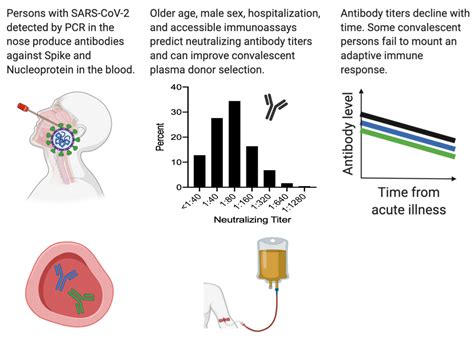 Predicting Sars Cov Antibody Titers Fred Hutchinson Cancer Center